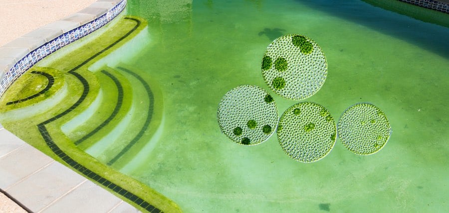 Causes of Green Algae in Swimming Pools